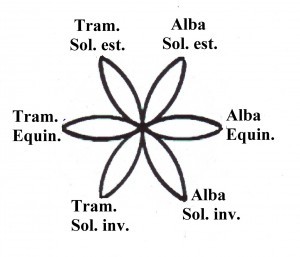 Fiore vita ciclo sole